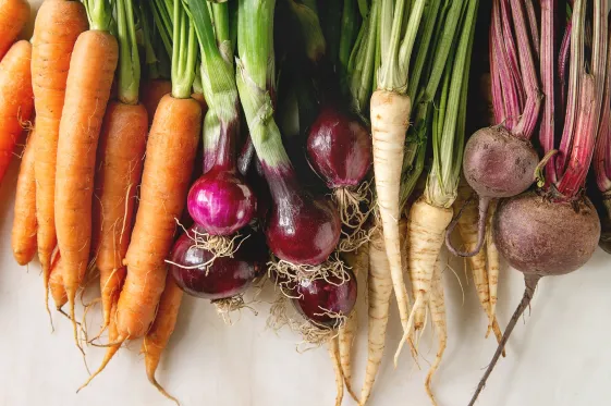 cómo conservar más tiempo las zanahorias